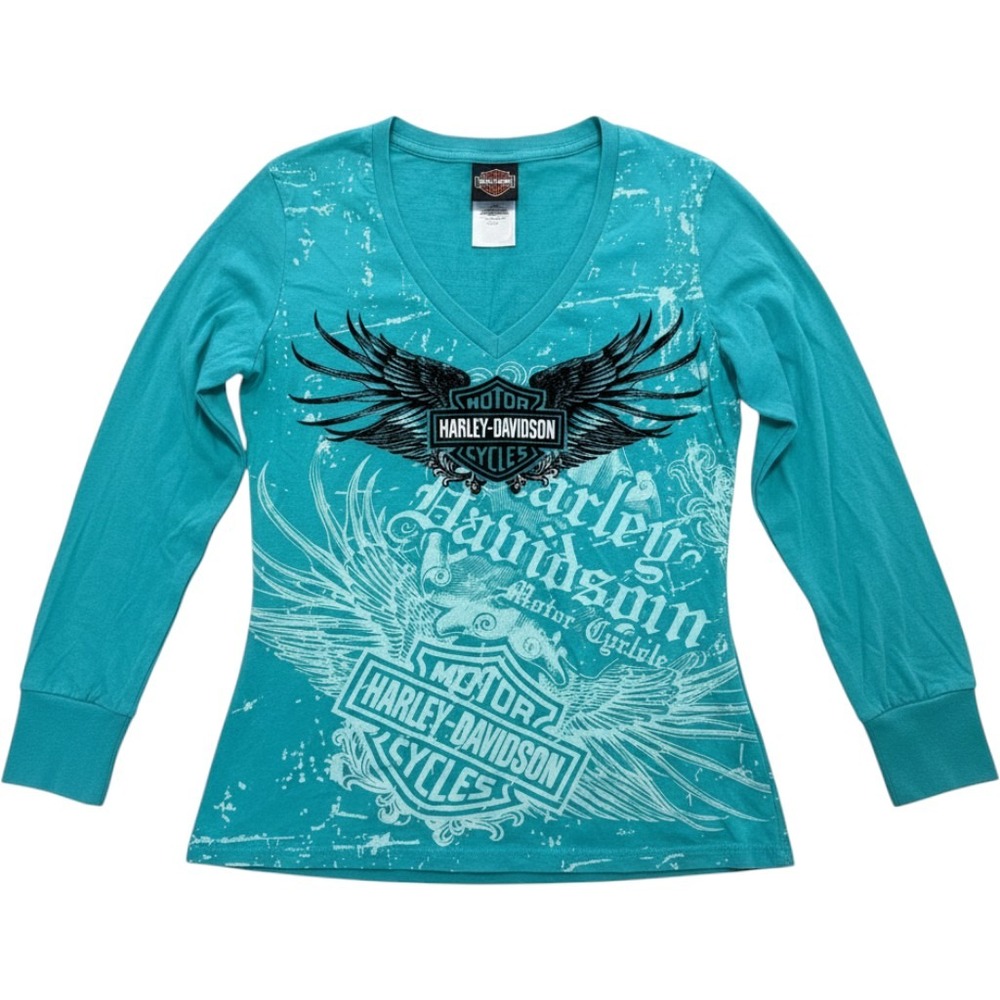 Harley-Davidson Womens Teal Graphic Long Sleeve V-Neck T-Shirt New River Gorge M